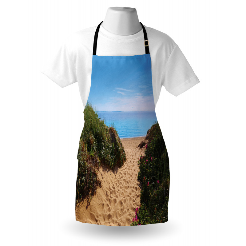 Herring Cove Beach Apron