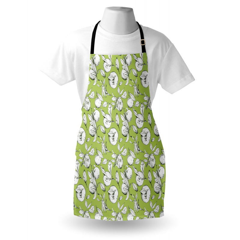 Sketch Drawn Citrus Fruit Apron