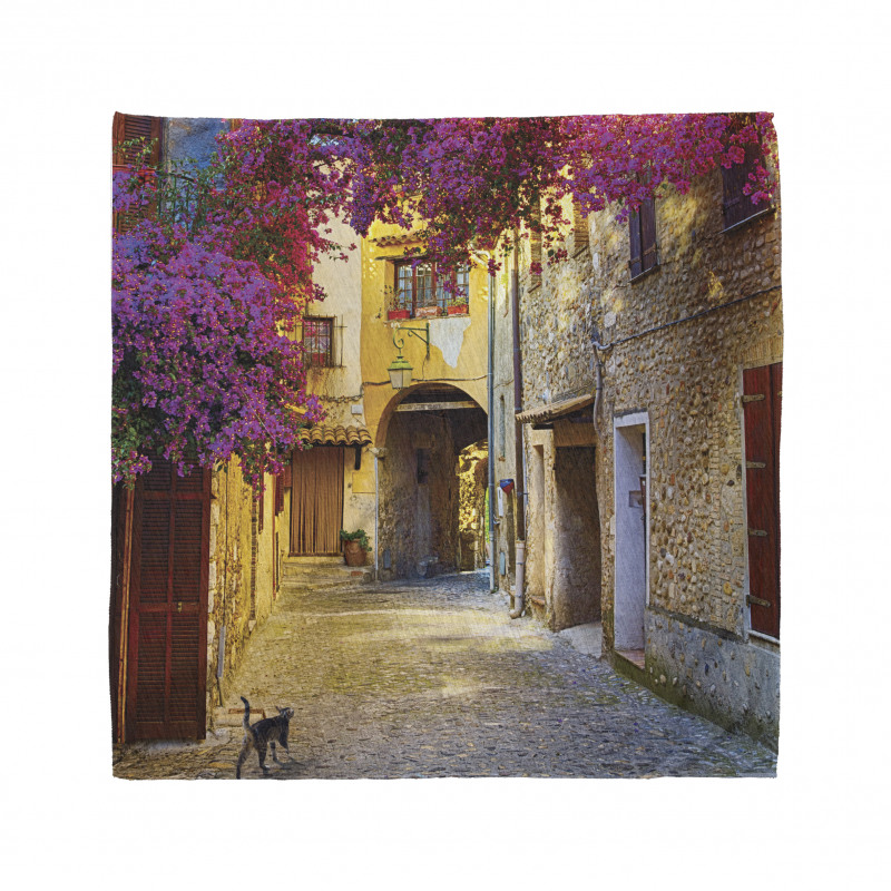 Historical Houses Alley Bandana