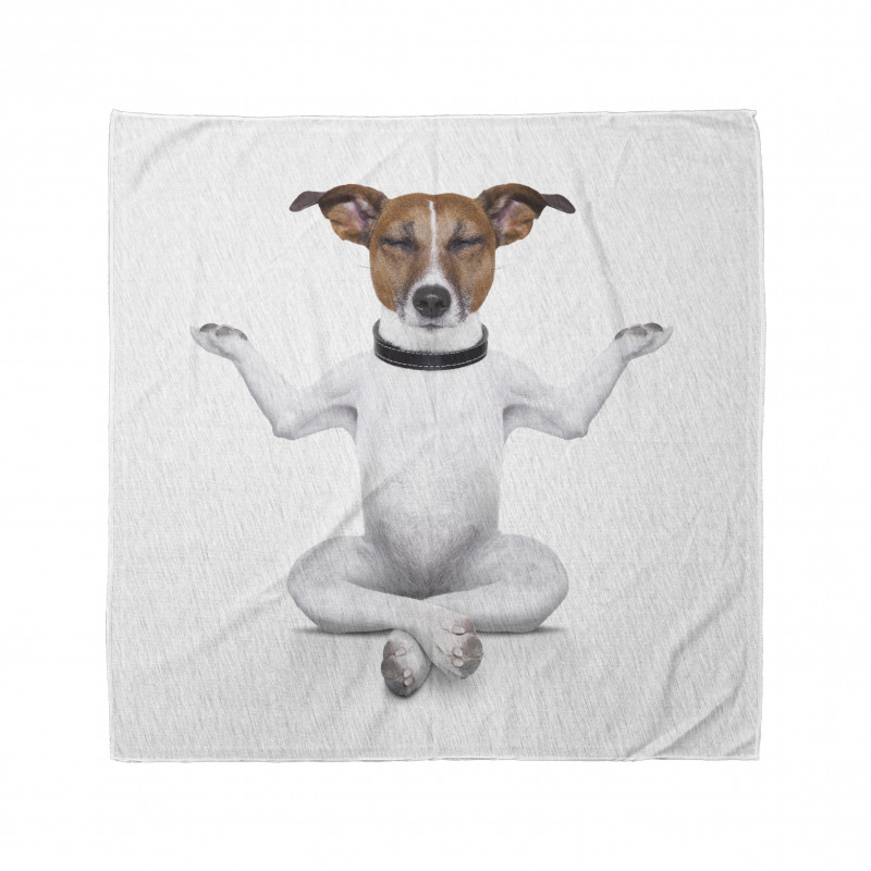 Hayvan Bandana Yoga Yapan Köpek