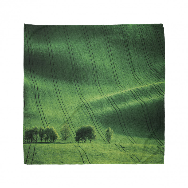 Meadow Fields Hills Bandana