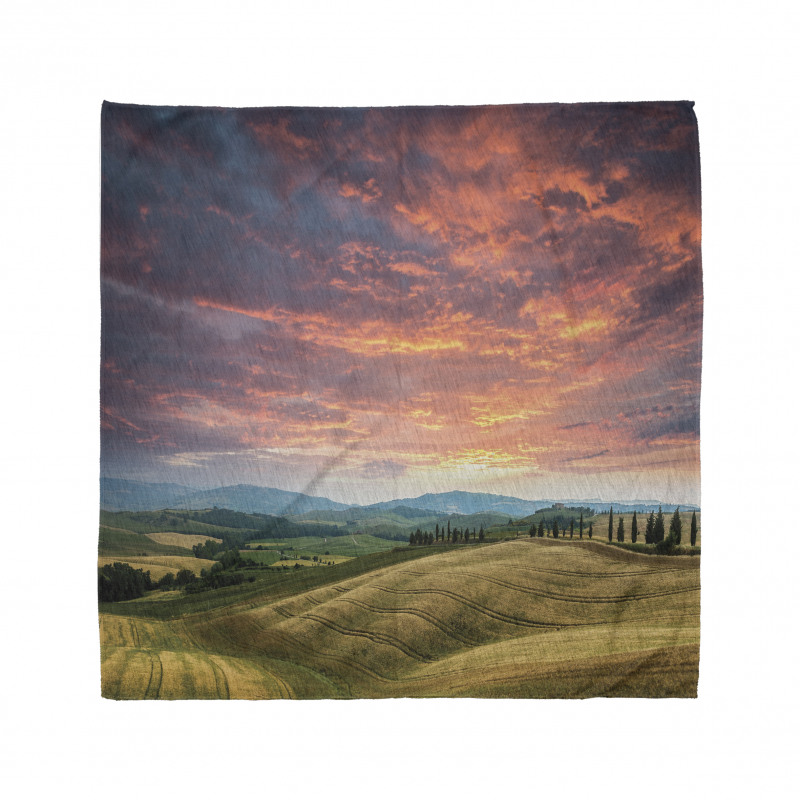 Tuscany Cypress Trees Bandana