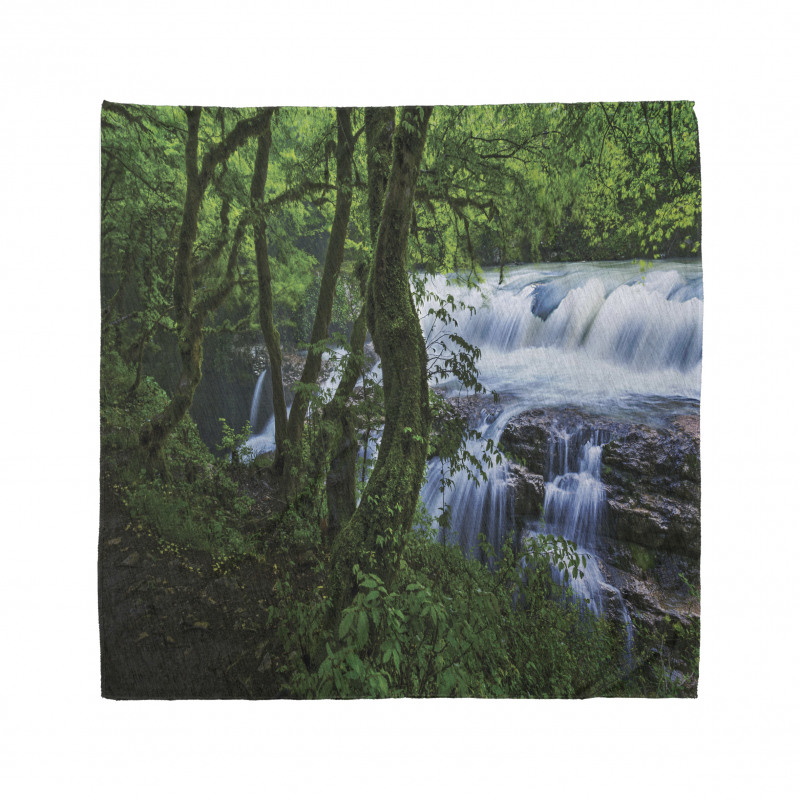 Canyon Woods Scene Bandana