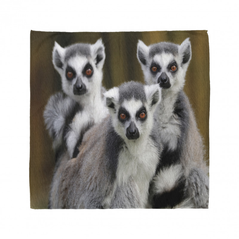 Ring Tailed Monkey Animals Bandana