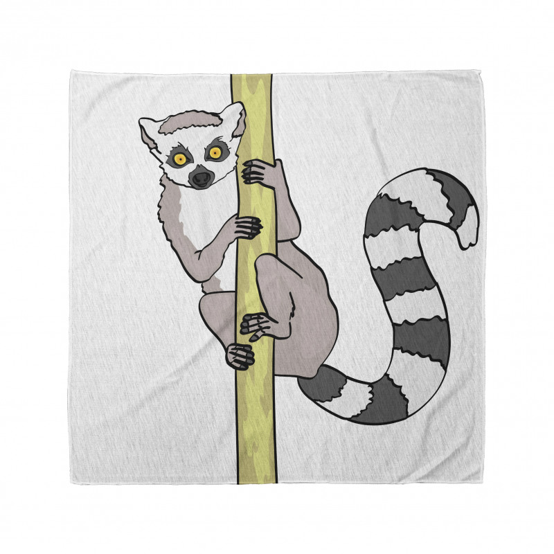 Tropical Ring Tailed Cartoon Bandana