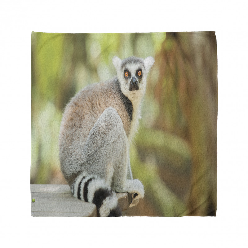 Aperture Photo Mammal Animal Bandana