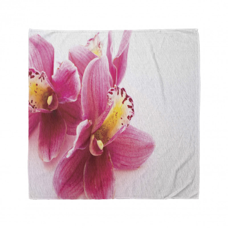 Close up Orchids View Bandana