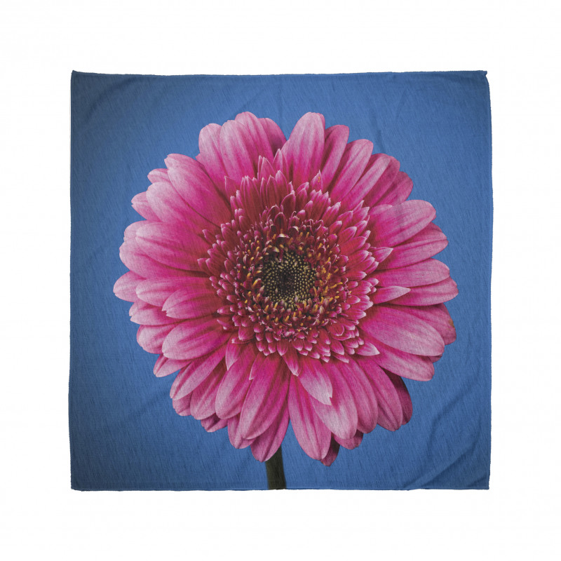 Gerbera Blossom Bandana