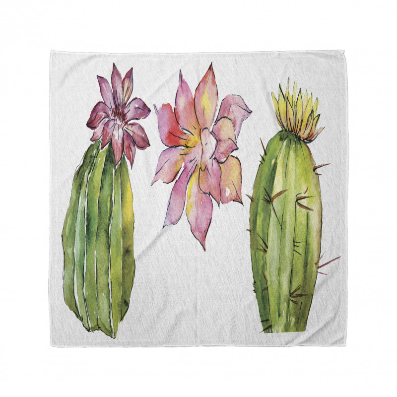 Succulents Bandana