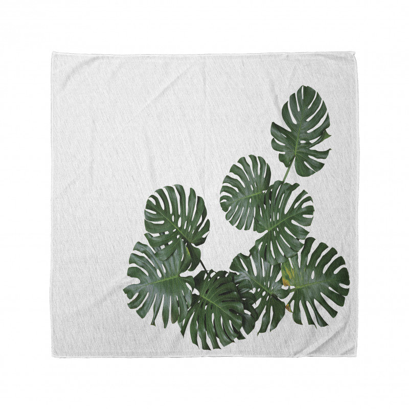 Monstera Deliciosa Bandana