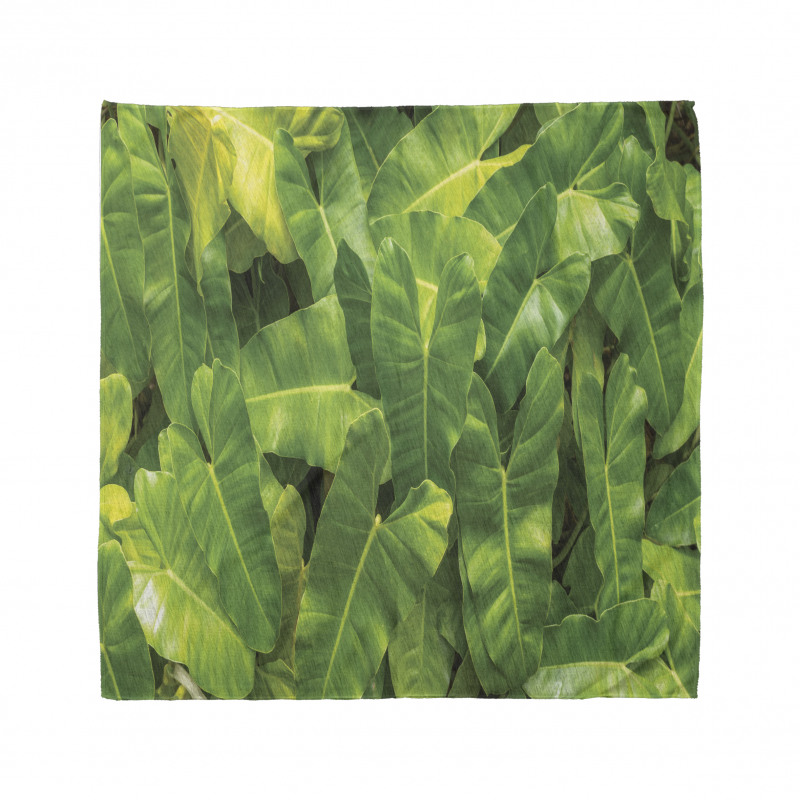 Photo of Tropic Botany Bandana