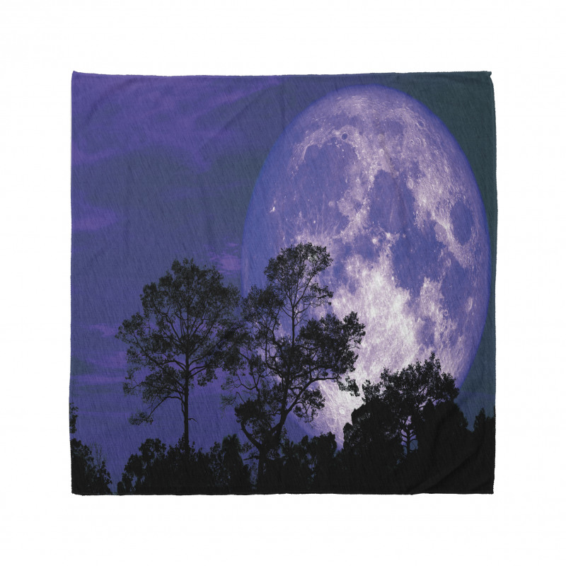 Trees on a Field at Night Bandana