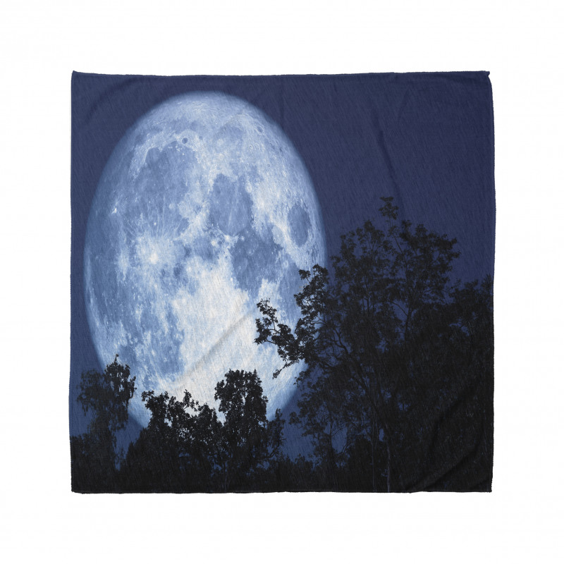 Moon Beaming in the Woods Bandana