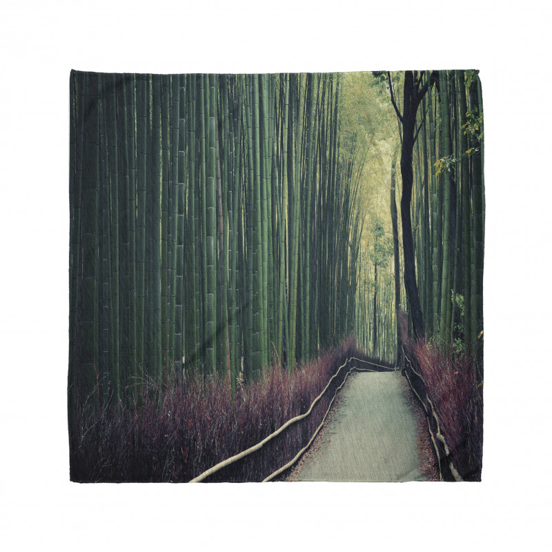 Bamboo Grove in Arashiyama Bandana