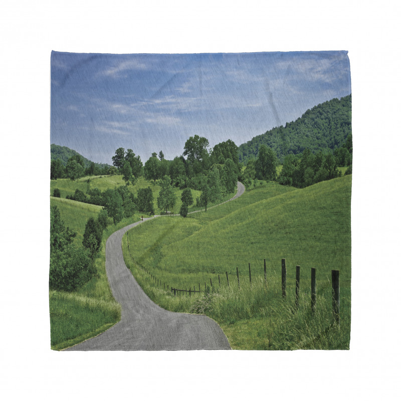 Idyllic Road Forest Bandana