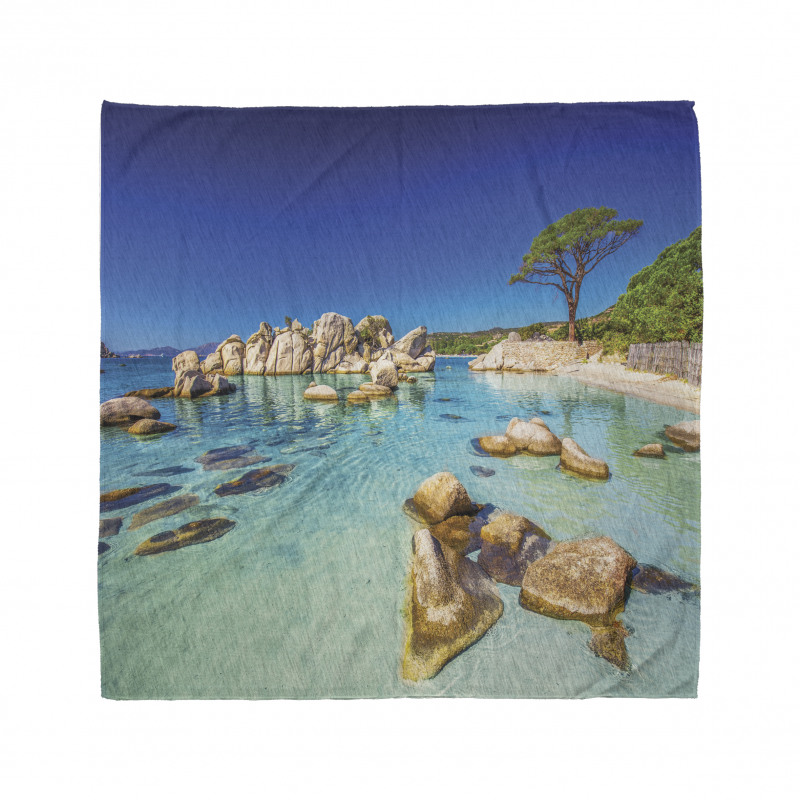 Beach and Clear Ocean Bandana