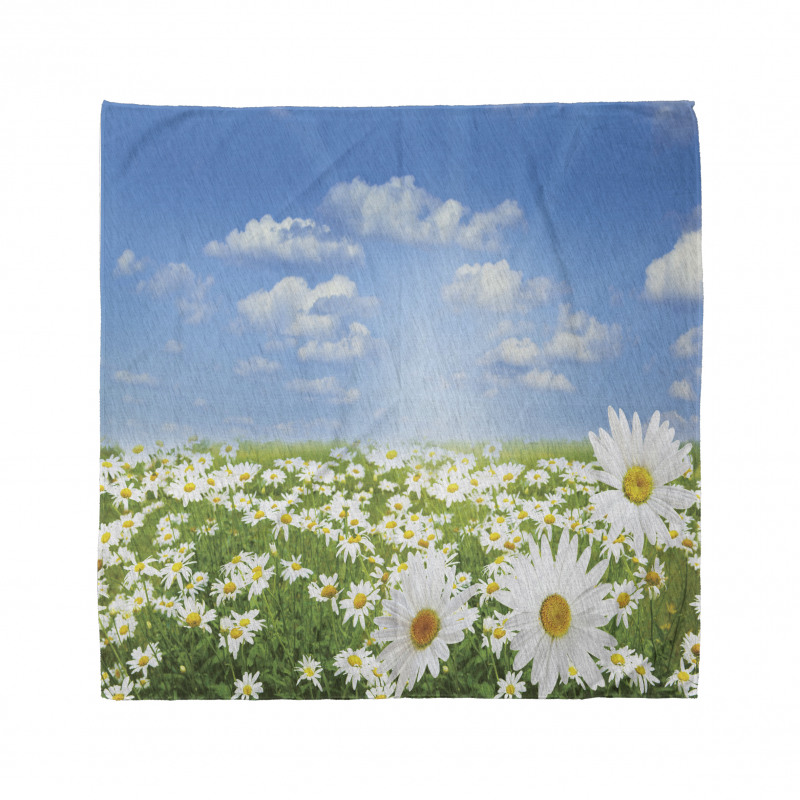 Daisy Spring Meadow Bandana