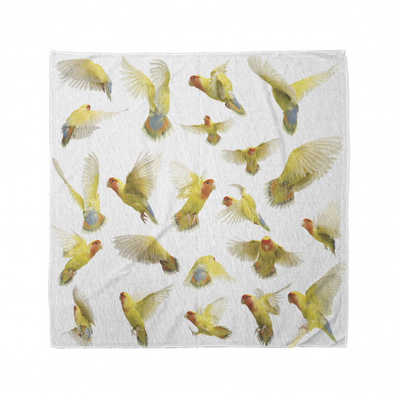 Peach Face Love Birds Bandana