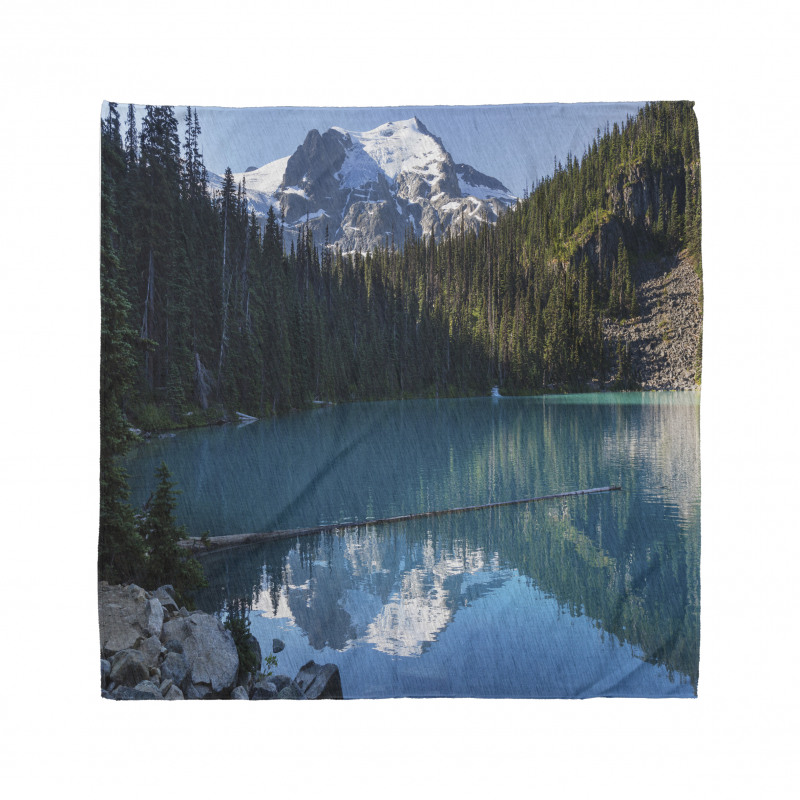 Snowy Frozen Mountain Bandana