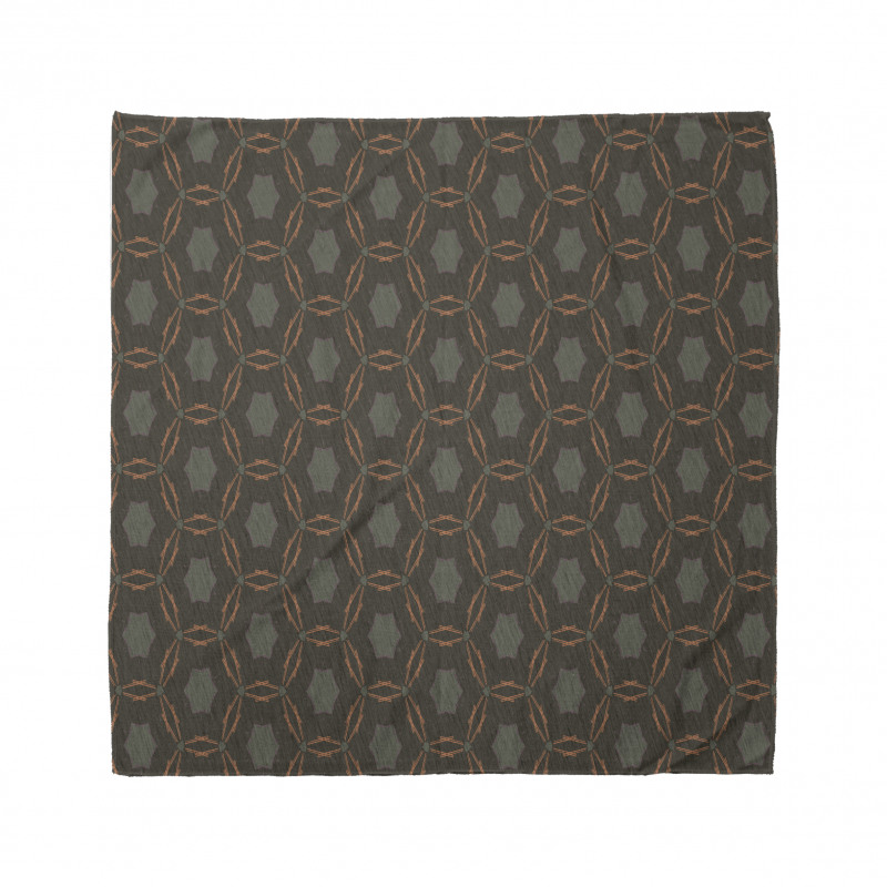 Bars and Concave Shapes Bandana