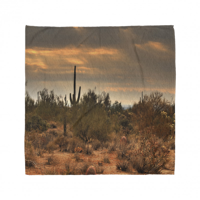 Dramatic Shady Desert Bandana