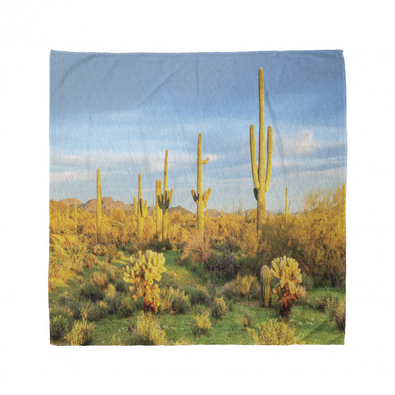 Sonoran Desert Blooms Bandana