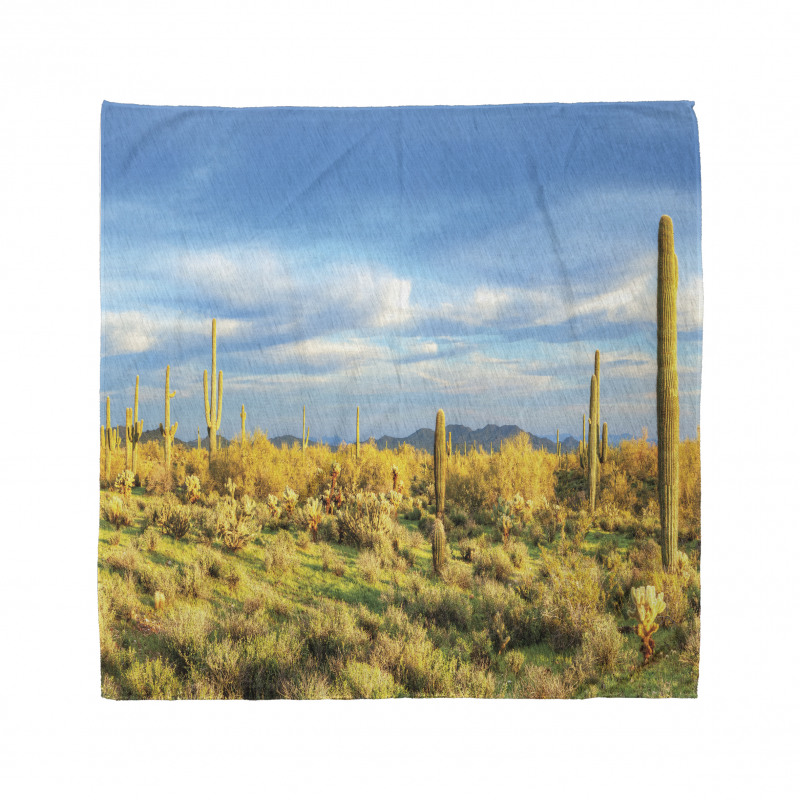 Western Cactus Spikes Bandana