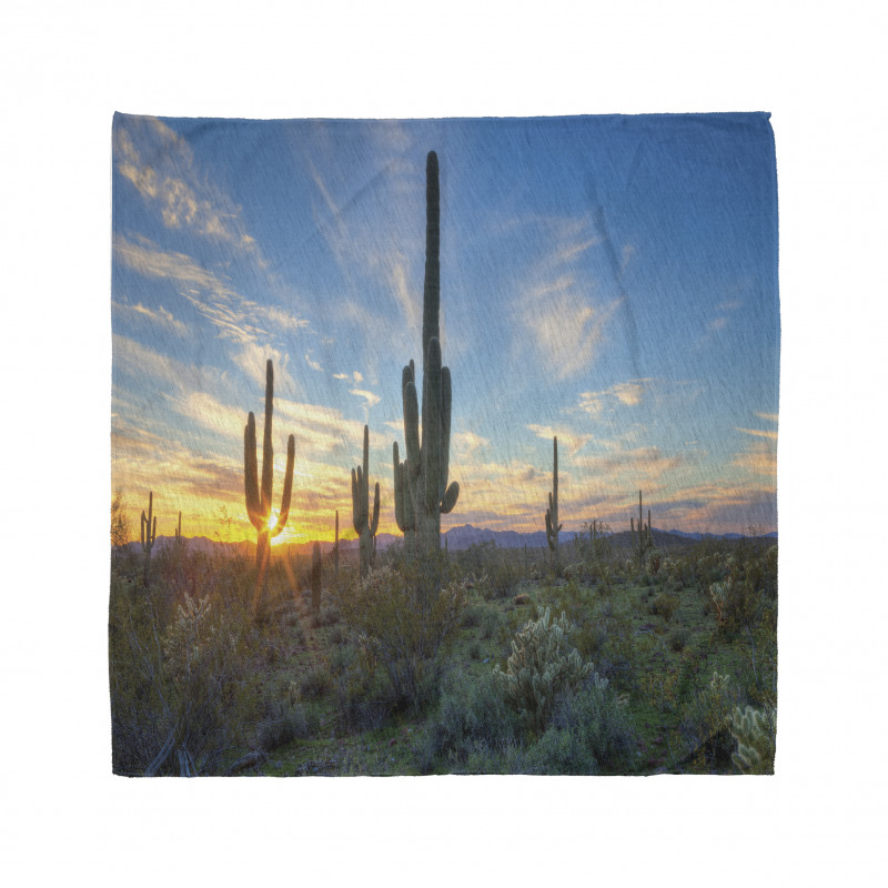 Cactus Noon Bandana