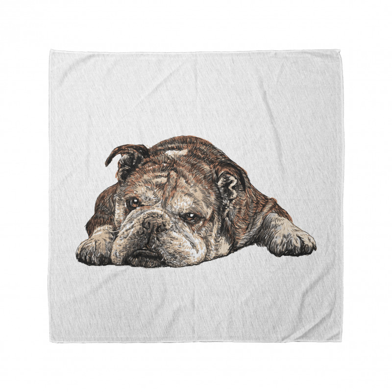 Single Hand Drawn Bulldog Bandana