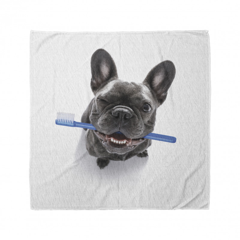 Funny Dog with Toothbrush Bandana