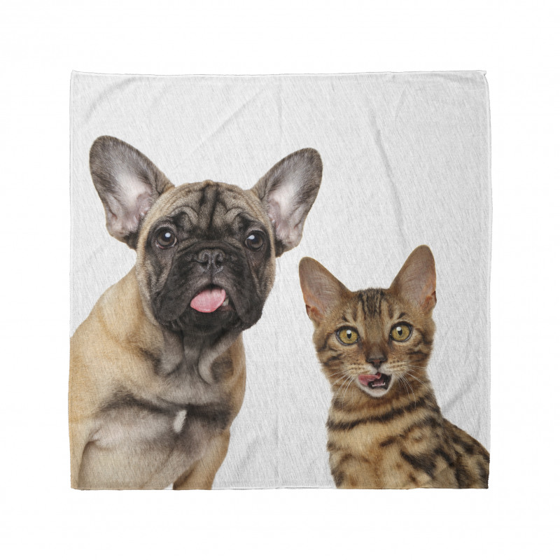 Cat and Dog Shocked Staring Bandana