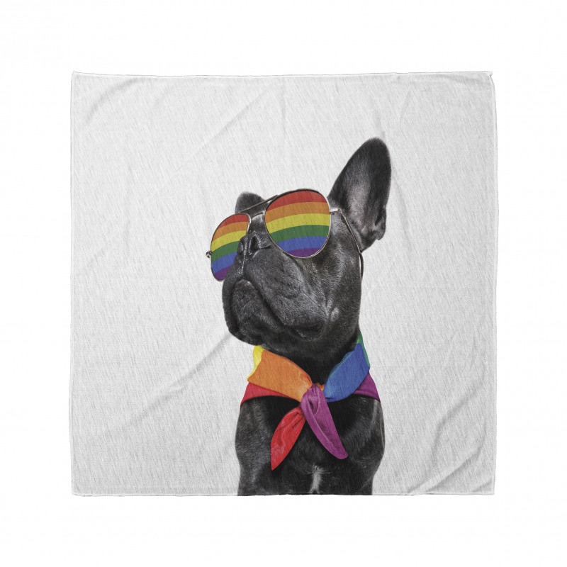 Proud Gay Pet Posing Funny Bandana