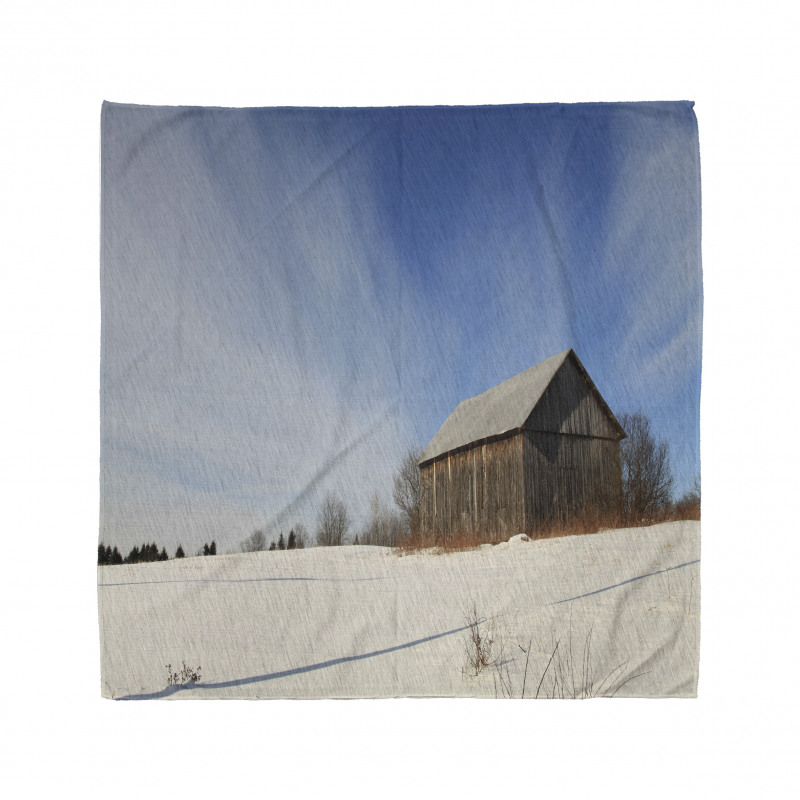 Abandoned Barn Winter Bandana