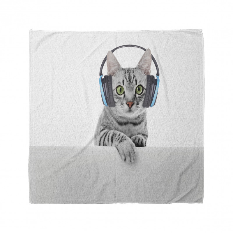 Hayvan Deseni Bandana Müzik Dinleyen Kedi