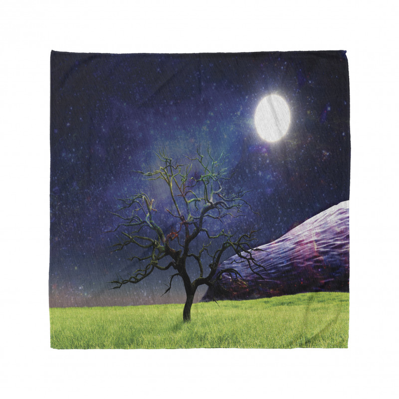 Full Moon Galaxy Grass Bandana