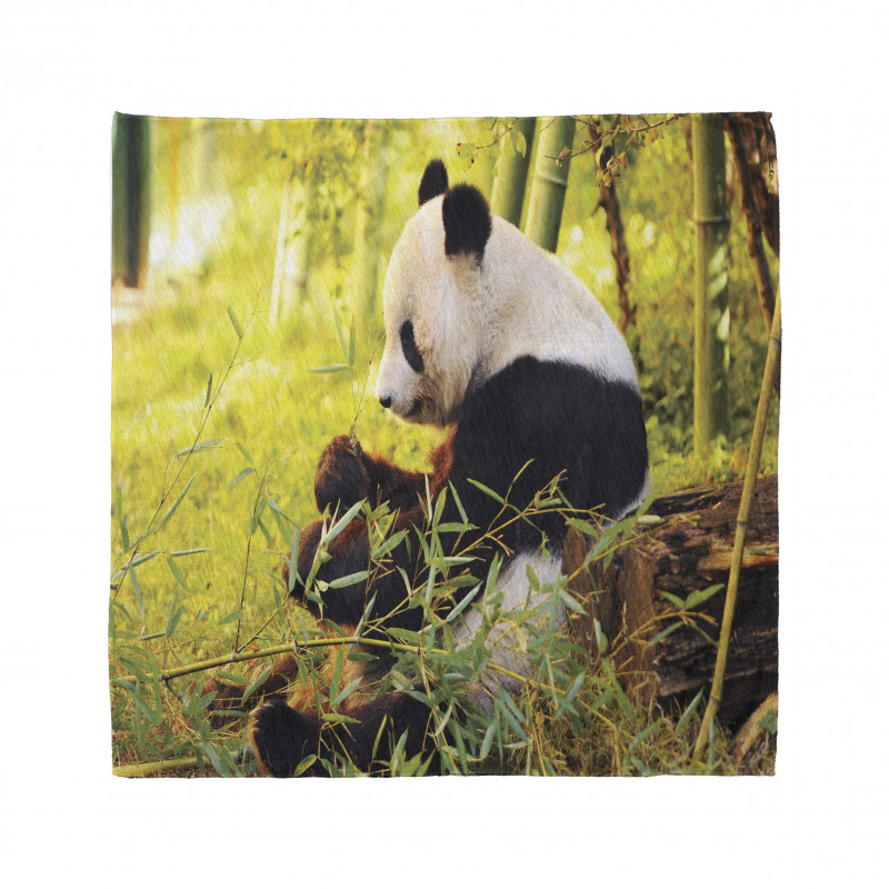 Panda Sitting in Forest Bandana