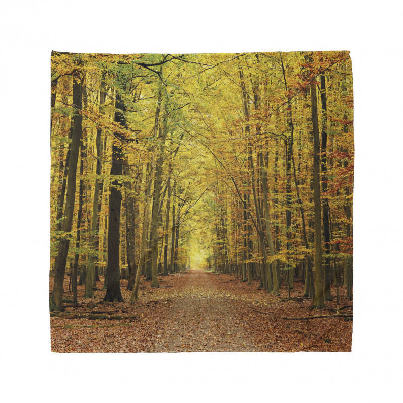 Pathway into the Forest Bandana