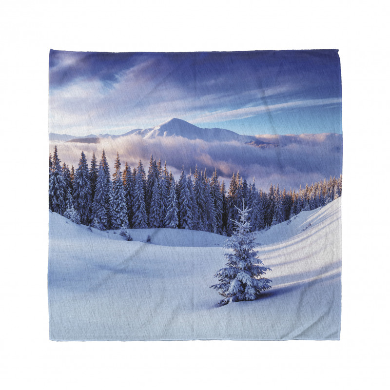 Mountain Peaks Snowy Bandana