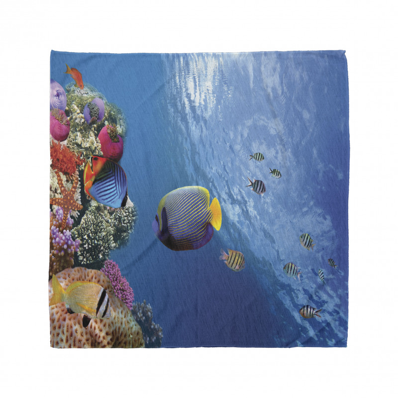 Underwater Fish Sea Bandana