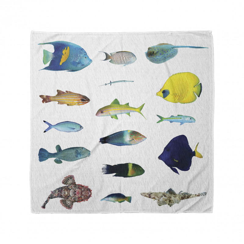 Marine Life Creatures Bandana