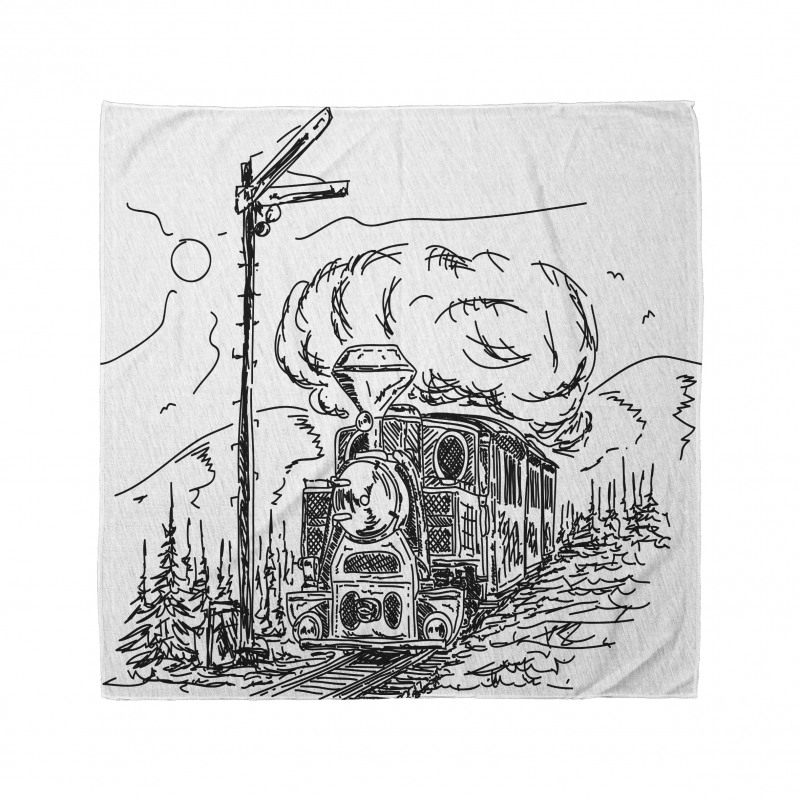 Railroad Drawing Bandana