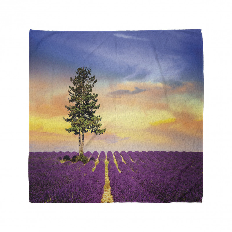 French Countryside Bandana