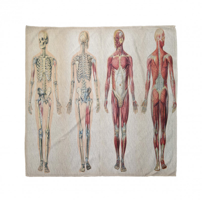 Hobiler Bandana İnsan Anatomisi Desenli