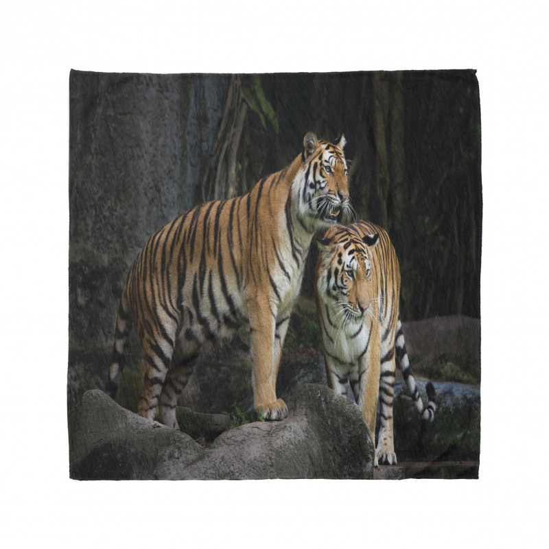 Tiger Couple in Jungle Bandana