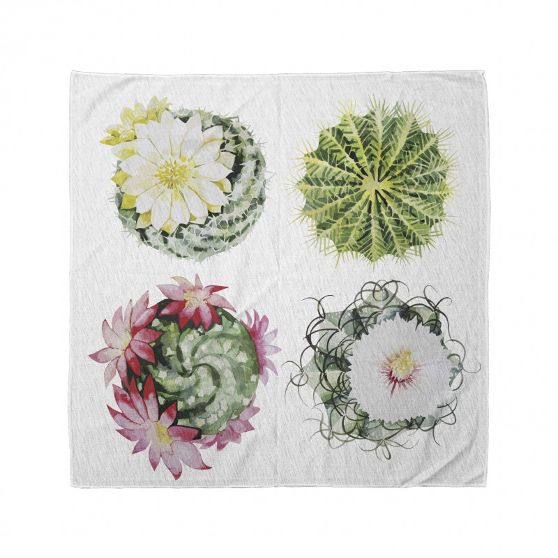 Mexican Retro Funky Cactus Bandana