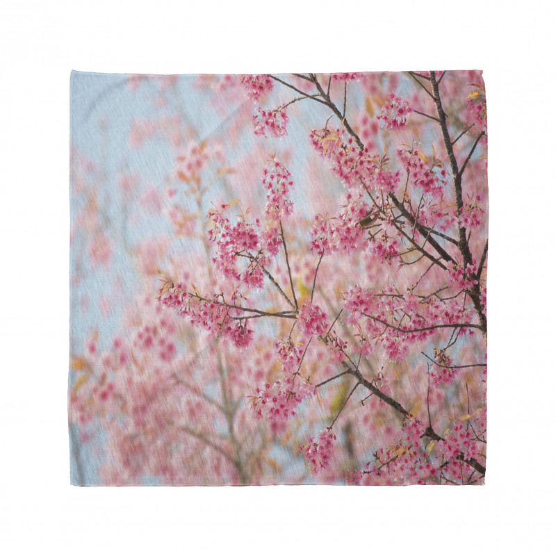 Japanese Sakura Cherry Bandana