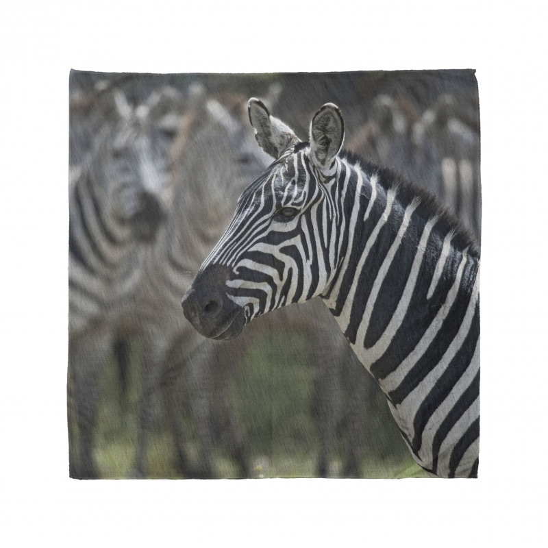 Hayvan Deseni Bandana Zebra Portresi Desenli