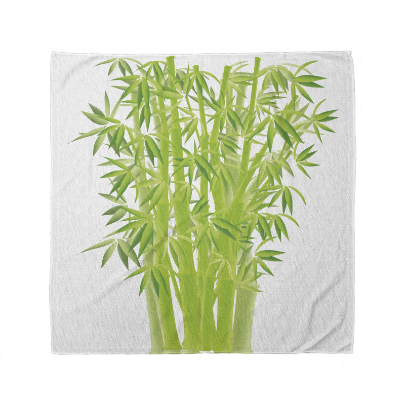 Bamboo Stems with Leaves Bandana