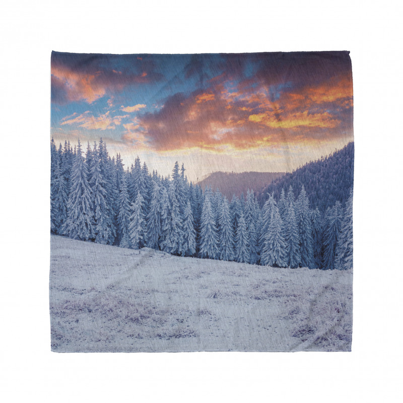 Winter Snowy Forest Sky Bandana