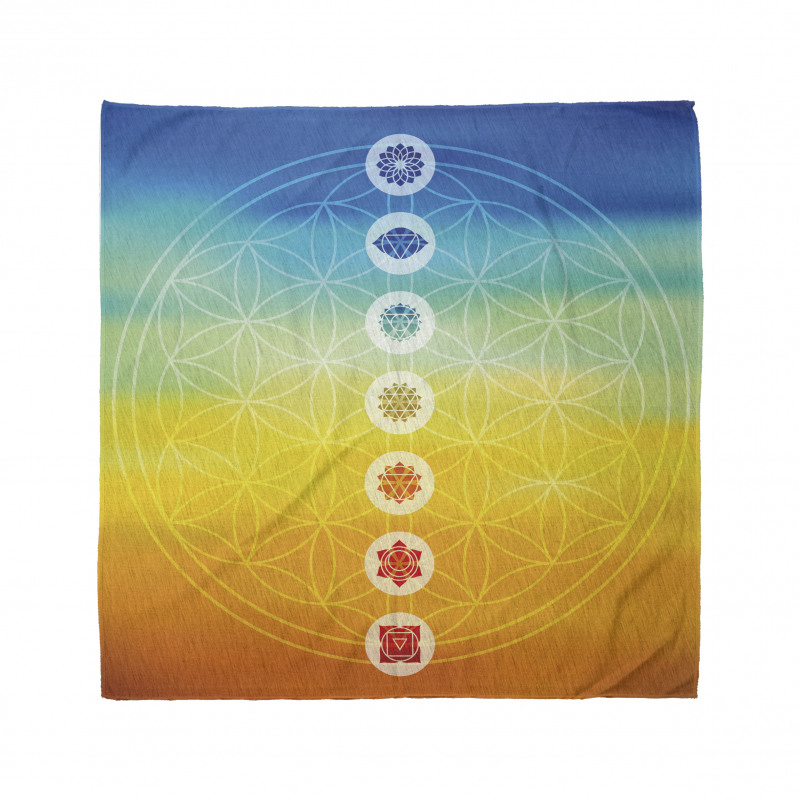 Power Universe Harmony Bandana